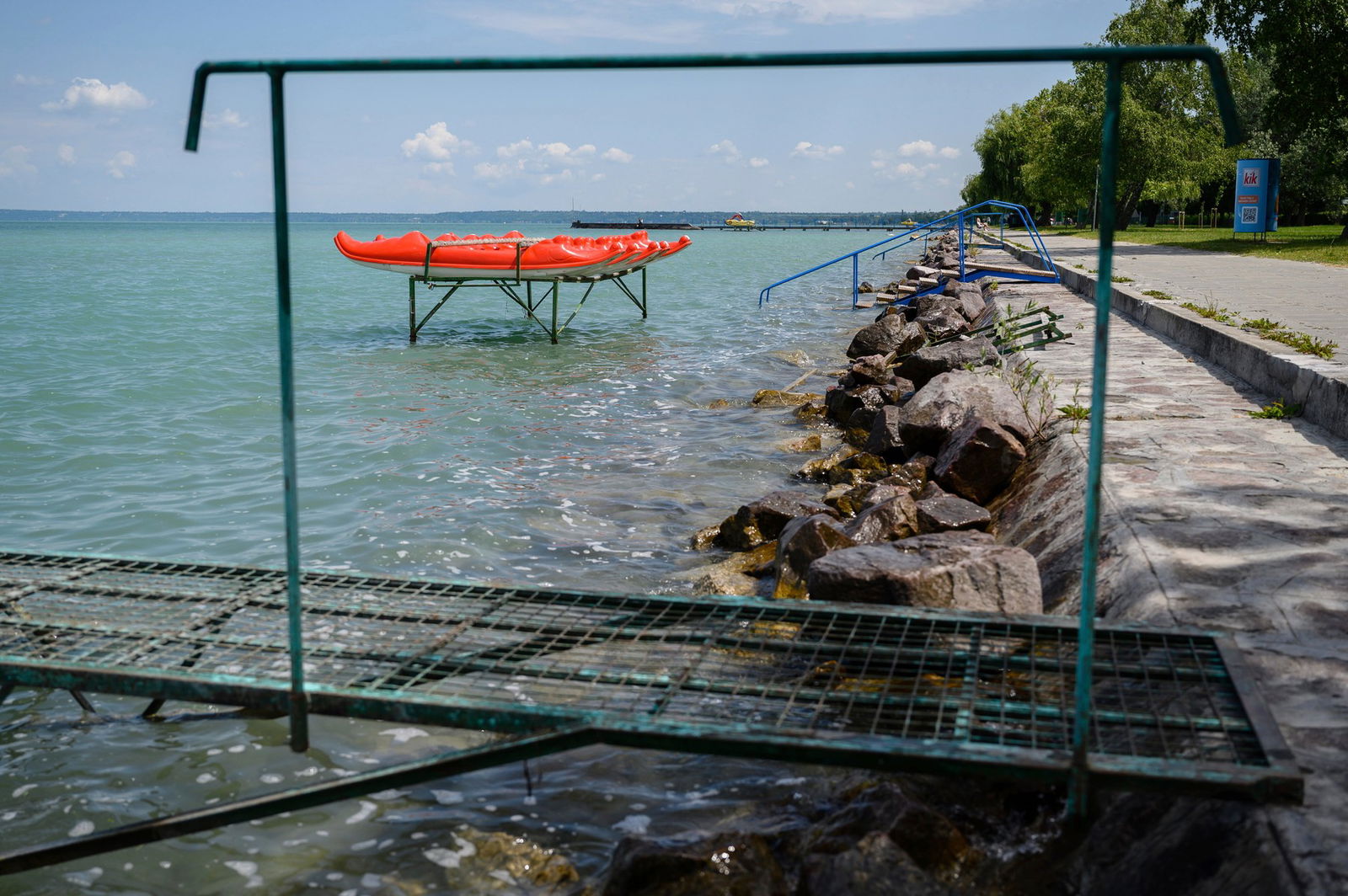 Veszedelmes Vad Llat Bukkant Fel A Balatonn L Ami Nem Csak Az Emberre