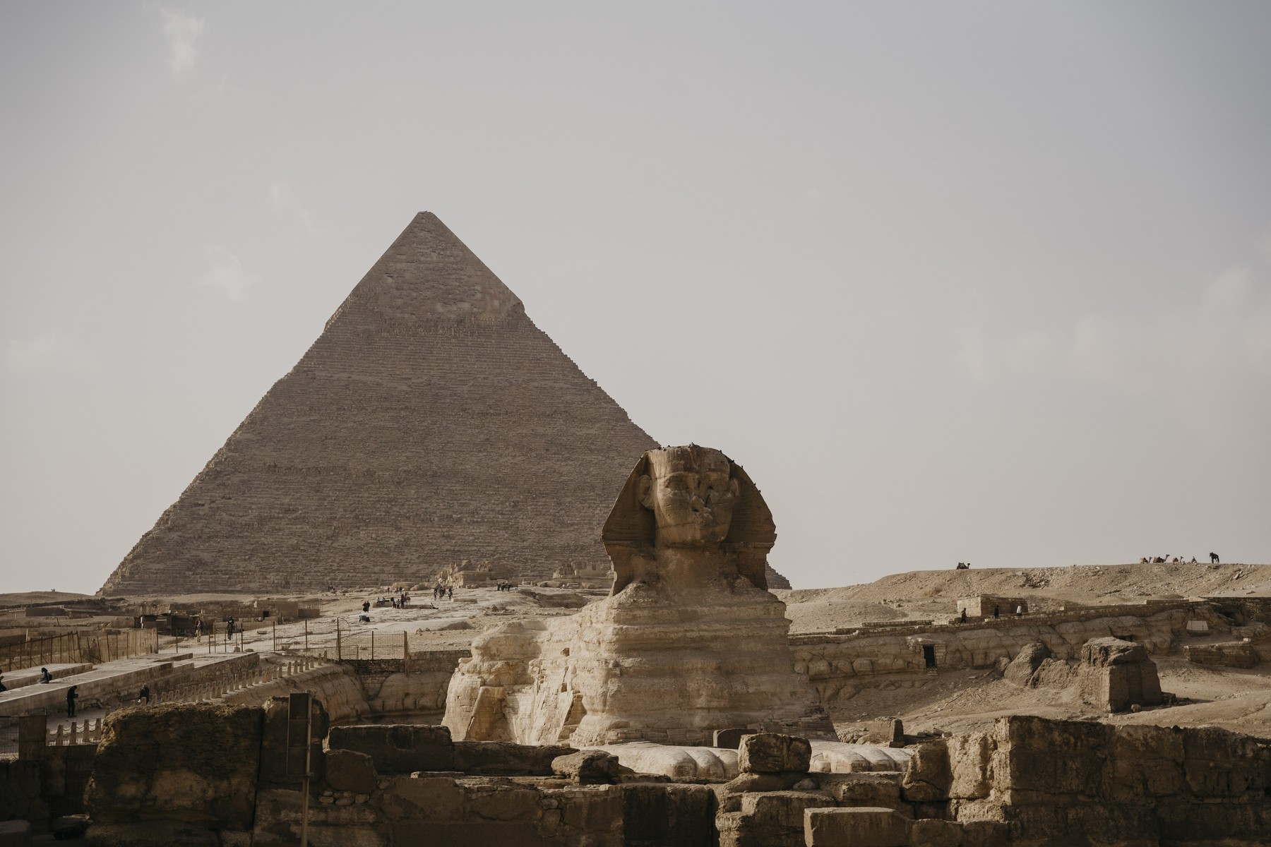 A puzzling and unexpected mystery surrounding the construction of the pyramids. Several tons of animal carcasses were used, and according to the evidence, we knew everything wrong until now.