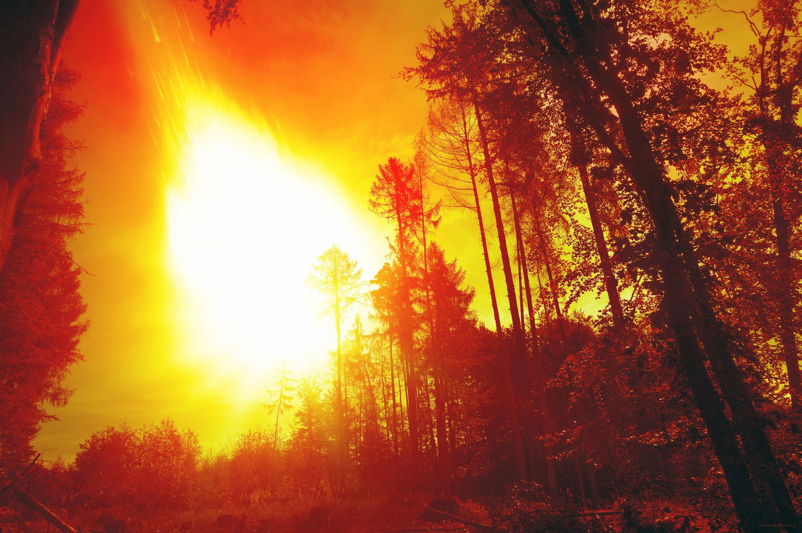 A destructive mushroom cloud rose into the sky after detonating something that wasn't supposed to happen